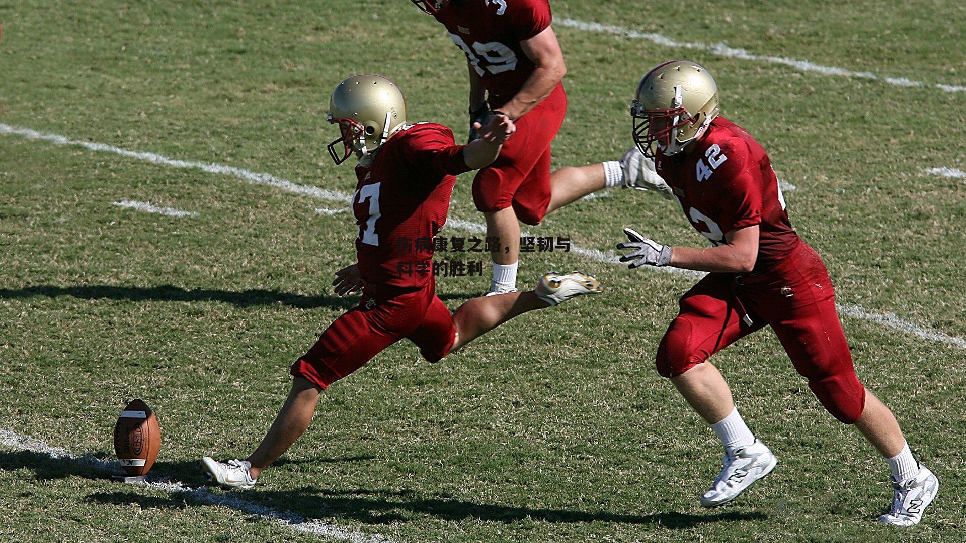 伤病康复之路,坚韧与科学的胜利